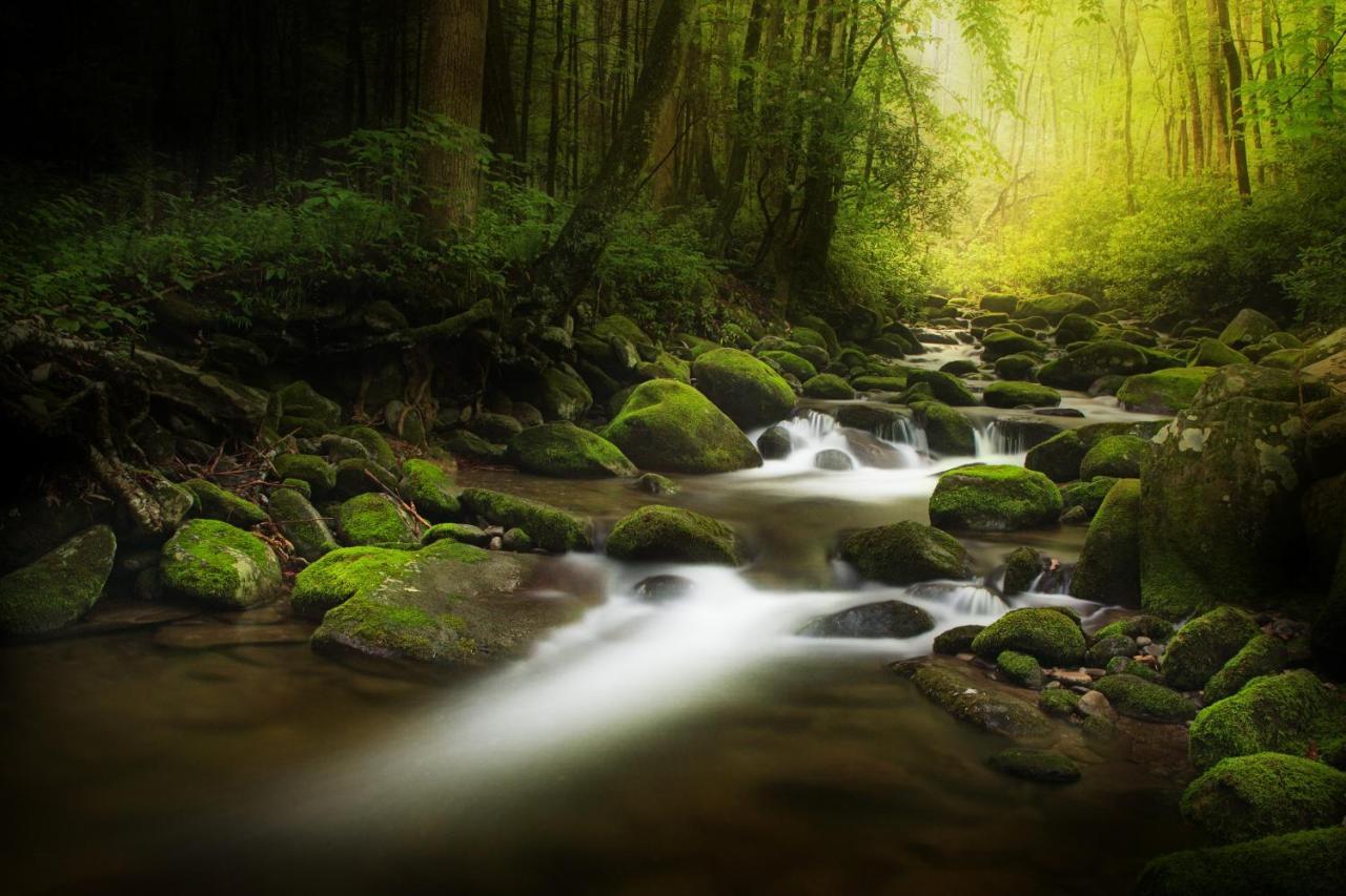 Bear Cove Falls 비둘기 포지 외부 사진